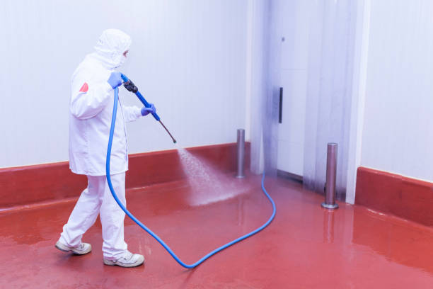 Best Pre-Holiday Cleaning  in Hudson, WI